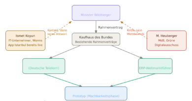 Die Deutschland-App: Gute Idee, fragwürdiger Weg