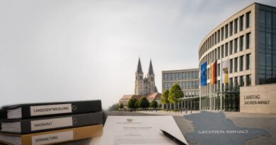 Was steckt hinter den AfD-Plänen für die Verwaltung