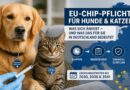 EU-Chip-Pflicht für Hunde und Katzen